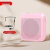 Little Bee Multi-functional Bluetooth Amplifier: Portable, Large Volume for Teachers & Tour Guides