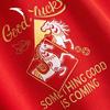 Anta Unisex Chinese New Year Hooded Sweatshirt