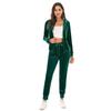 Velvet Velour Tracksuit Set Women Soft Stretch Lounge Zip Up Hoody and Jogger Pants Relaxed Sports Outfit