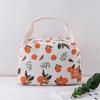 Cartoon Insulated Lunch Bag Waterproof Food Container Bag Gifts Thermal Food Pouch  Women