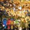 Vitray Pencere Asılı Suncatcher Canlı Renk Asmak Kolay El-Boyalı Kuş Pencere Asma Kolye
