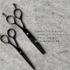 DEEDS GTZ Sword Black Titanium Scissors and 630RA Thinning Scissors Approximately Thinning with Dedicated Case Set Hairdressing Thinning Scissors [PF]
