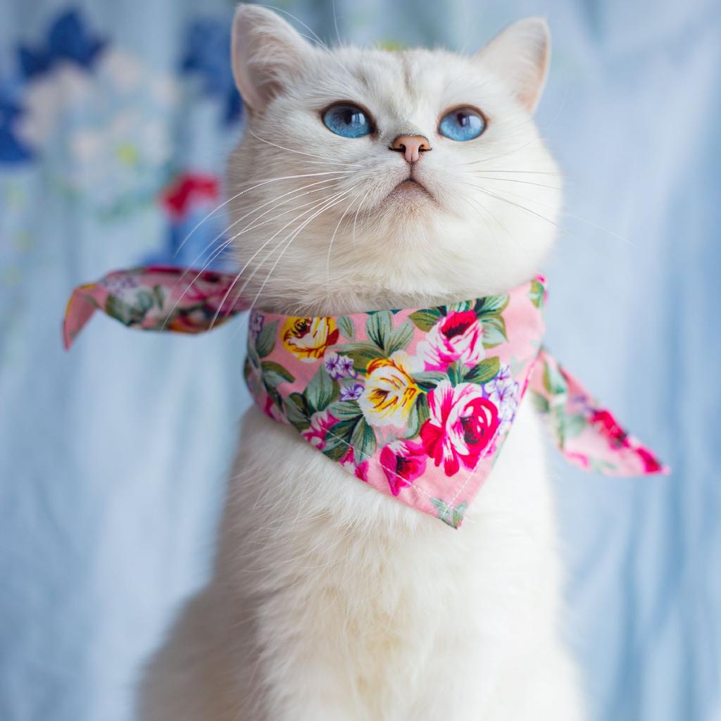 British plaid pet saliva towel, spring and summer dog cat triangle scarf, European and American printed fruit pet scarf