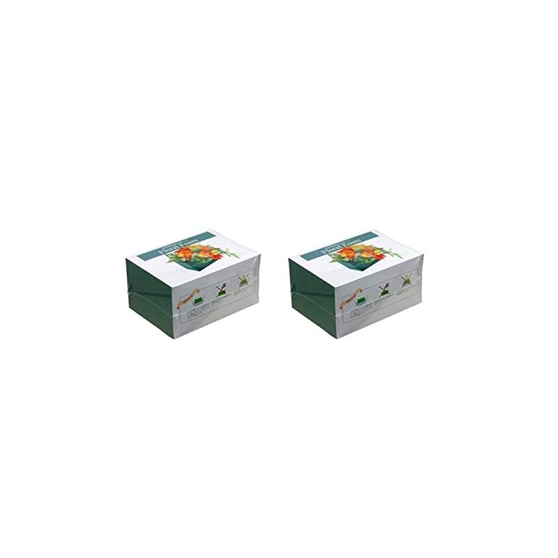 Nippan [2 sets] Floral Foam, Sponge for Fresh Flowers
