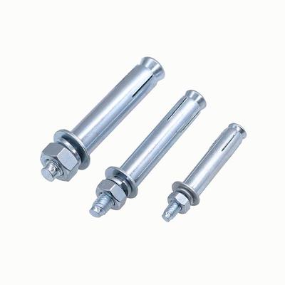 Ruiluo 4.8 Grade Expansion Bolt
