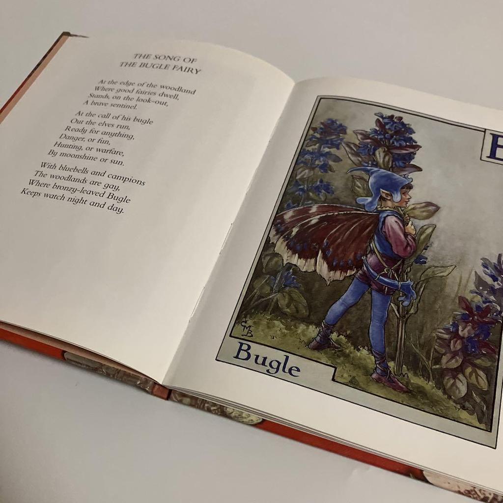 [USED] Foreign Books A Flower Fairies Alphabet Fairy