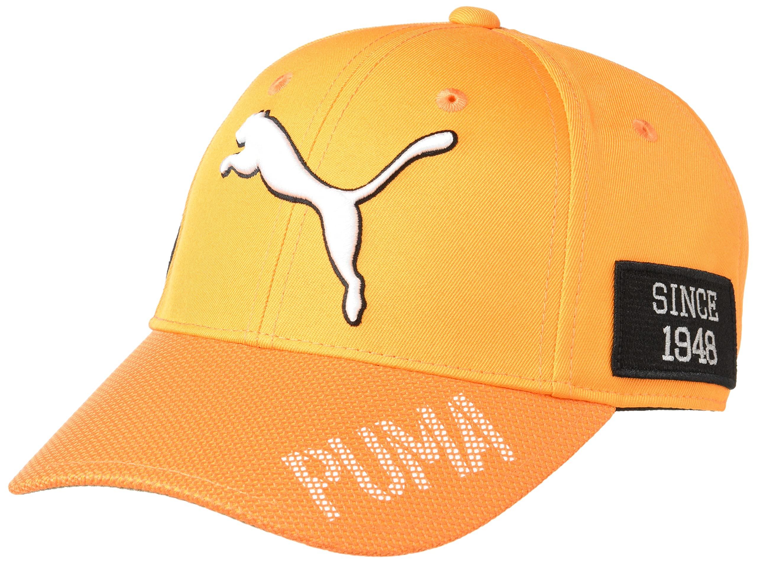 

Кепка для выступлений Tour 024991 Ricky Orange Один размер [Puma] Мужская