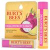 Bees Lip Balm No Additives [Official] Burt's (Dragon Fruit/4.25g)