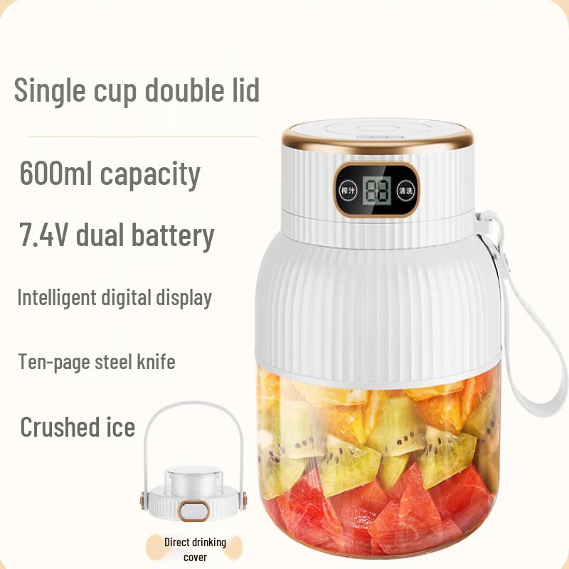LISM Portable Electric Juicer