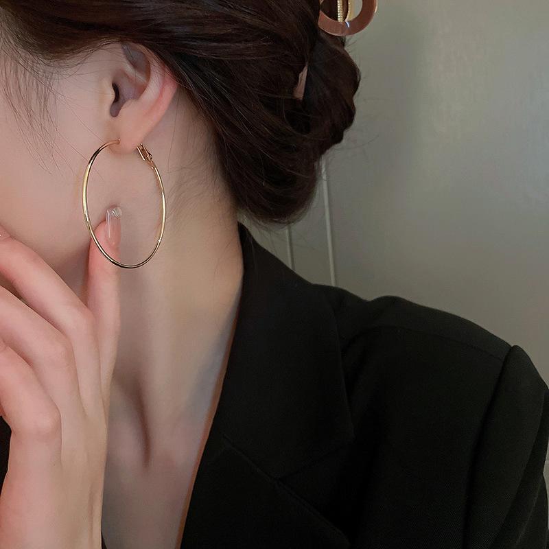 High-End Light Luxury Cold-Style Metal Hoop Earrings