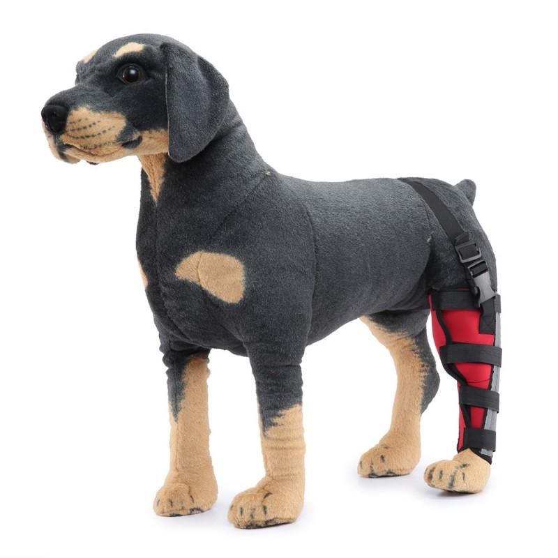 Hunde-Hinterbein-Stützbandage zur Genesung nach Operationen und zum Schutz vor Verletzungen für mittlere bis große Rassen