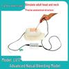 Advanced Nasal Bleeding Training Model