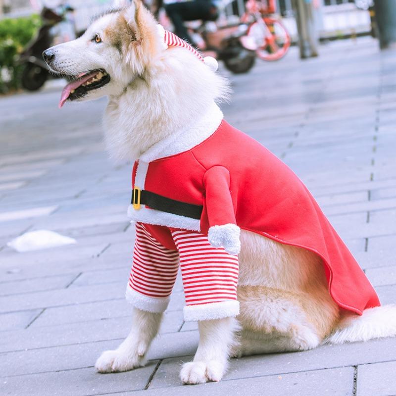 Sun Yat-sen University's Christmas Dog and Cat Clothes, Dog Pets, Autumn and Winter Fleece and Funny Cat, Two-legged Golden Retriever Transformed
