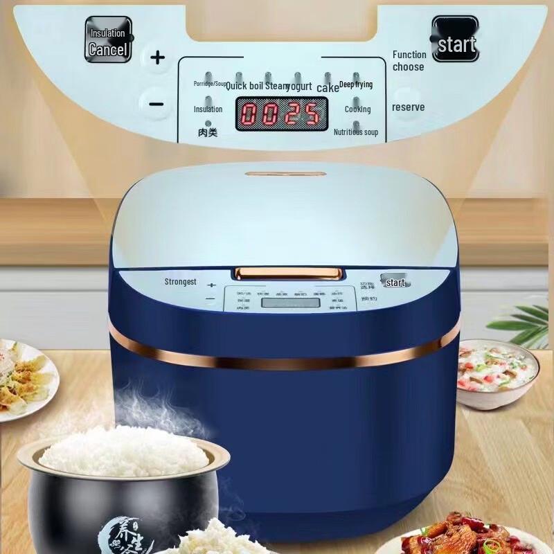 OLOEY Smart Programmable Rice Cooker