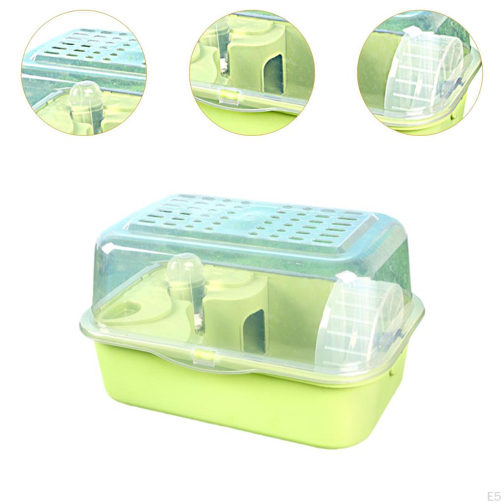 Exercise Space for Hamsters And Small Pets, Ideal Mice Gerbils