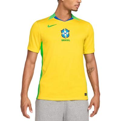 Nike Brasilien 2025 Stadion Heim (Damenmannschaft) Herren Nike Dri-FIT Fußball Replica Trikot FZ9011-718