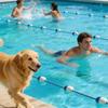 Swimming Pool Accories Dividing Lanes Areas Floating Line Floats Safety Divider Floating Buoy Line Accories 5m
