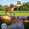 Light Up Dog Shoes Breathable Pet Supplies Doggy Shoes Cat Glowing Boots For Puppy Kitten Summer Outdoor Night Walks Training