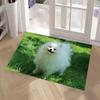1pc Cute Pomeranian Dogs Bathroom Absorbent Mats Anti-Slip Mats Home Decor Supplies Carpets Home Kitchen Floor Mats