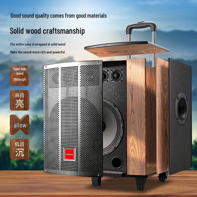 KONKA 8-inch Portable Outdoor KTV Speaker