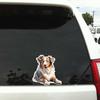 Australian Shepherd Pet Dog Animal Cartoon Car Sticker Waterproof Styling Automobiles Motorcycle Exterior Accessories Vinyl Decals TM340