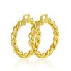 European and American Style Twist Rope Large Earrings Women's Exaggerated Earrings Fashionable Versatile Light Luxury Earrings