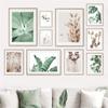 Tropical Plant Leaves Wall Art Canvas Paintings Rabbit Tails Grass and Flowers Posters and Prints Scandinavian Room Decoration