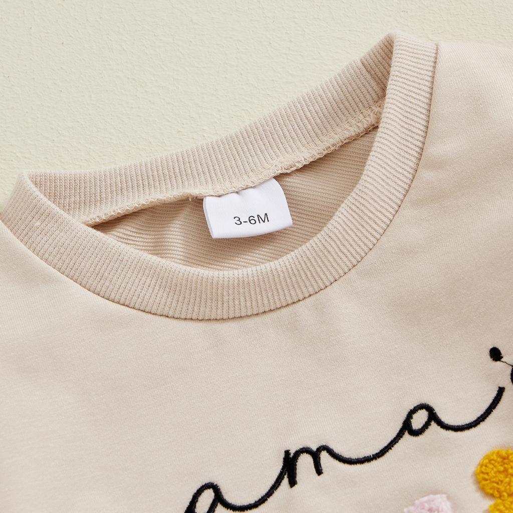 Toddler Girls Fall Sets Letter Embroidered Long Sleeve Round Neck Sweatshirt Drawstring Pocket Long Pants Outfits