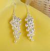 925 Sterling Silver Earrings Hot Grapes For Women Exquisite Student Girlfriend Jewelry Accessories Wedding Fashion Gift