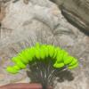 100Pcs Fluorescent Foam Traditional Line Group Float Space Beans Stopper For Sea Carp Fly Fishing Bait Fish Float Tools