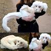 Falkor From The Neverending Story Plush Lucky Dragon Toy Pp Cotton Filling Home Decor Kids Gift