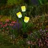 Tulip Solar Garden Stake Light: Outdoor Decorative Lawn Lamp