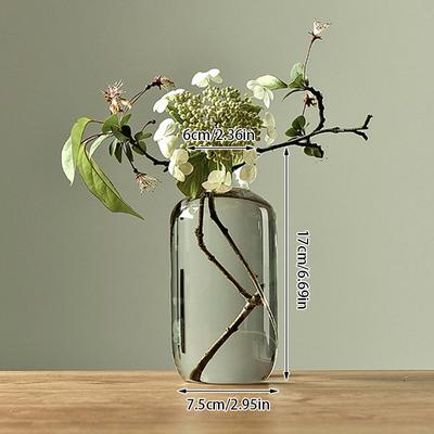 Japanese Zen Vase Countertop Vase Small Vase Transparent Glass Hydroponic Home Decoration