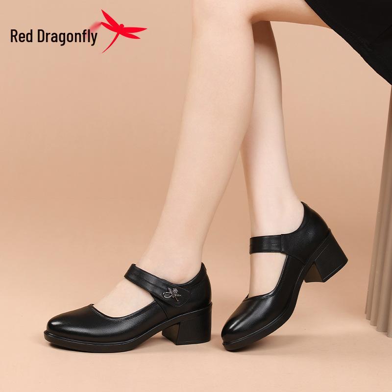 Red Dragonfly Women's Mary Jane Summer High Heels: Thick Sole Leather Casual Shoes