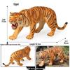 Siberian Tiger Male Model - Children's Cognitive Toy