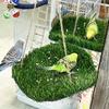 Kunstrasen Vogelschaukelmatte Rund/Quadratische Form Natürliches Hamster-Schlafbett Dekorative Hängende Futtersuchmatte Spielzeug Vogelkäfig