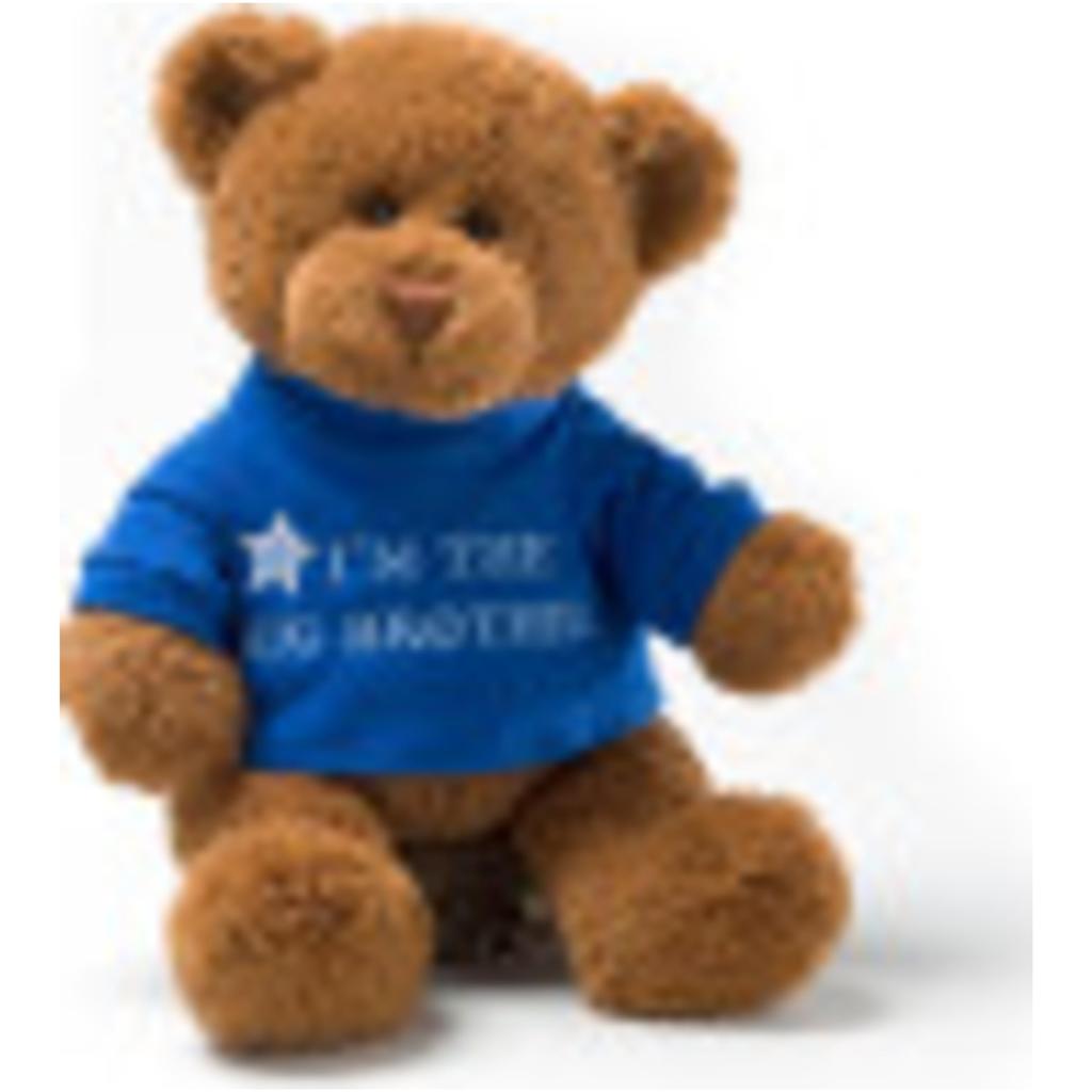 [GUND] Big Brother T-shirt Bear