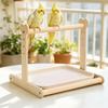 Anti-Splash Design Parrot Potty Training Platform Pet Bird Perching Stand  for Small Parrots