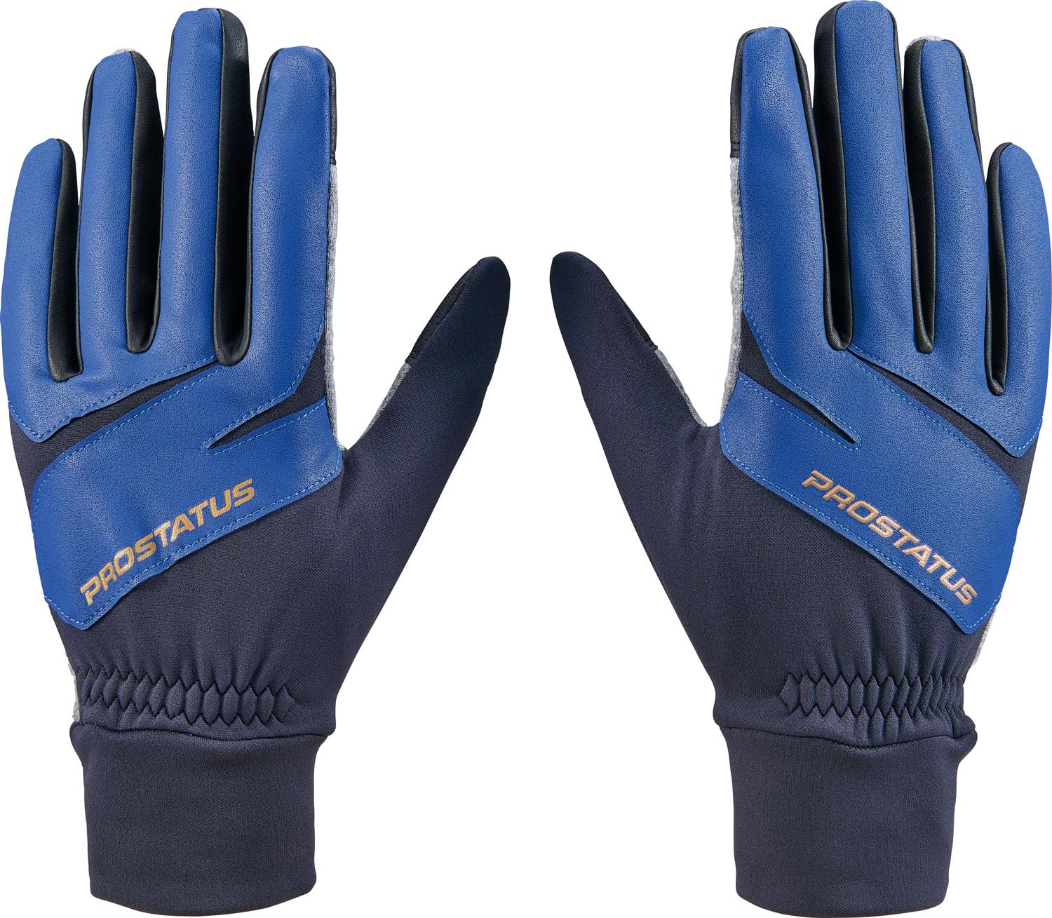 

ZETT Baseball Pro Status Winter Fleece Black x Royal Blue Free Size BG43714B Gloves, (1925),