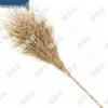 Heavy-Duty Road Cleaning Broom