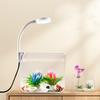 Small Fish Tank with Wall Mounted Filter LED Clamp Light High Lightweight Fish Aquatic Pet Supplies Aquariums for Home Decor