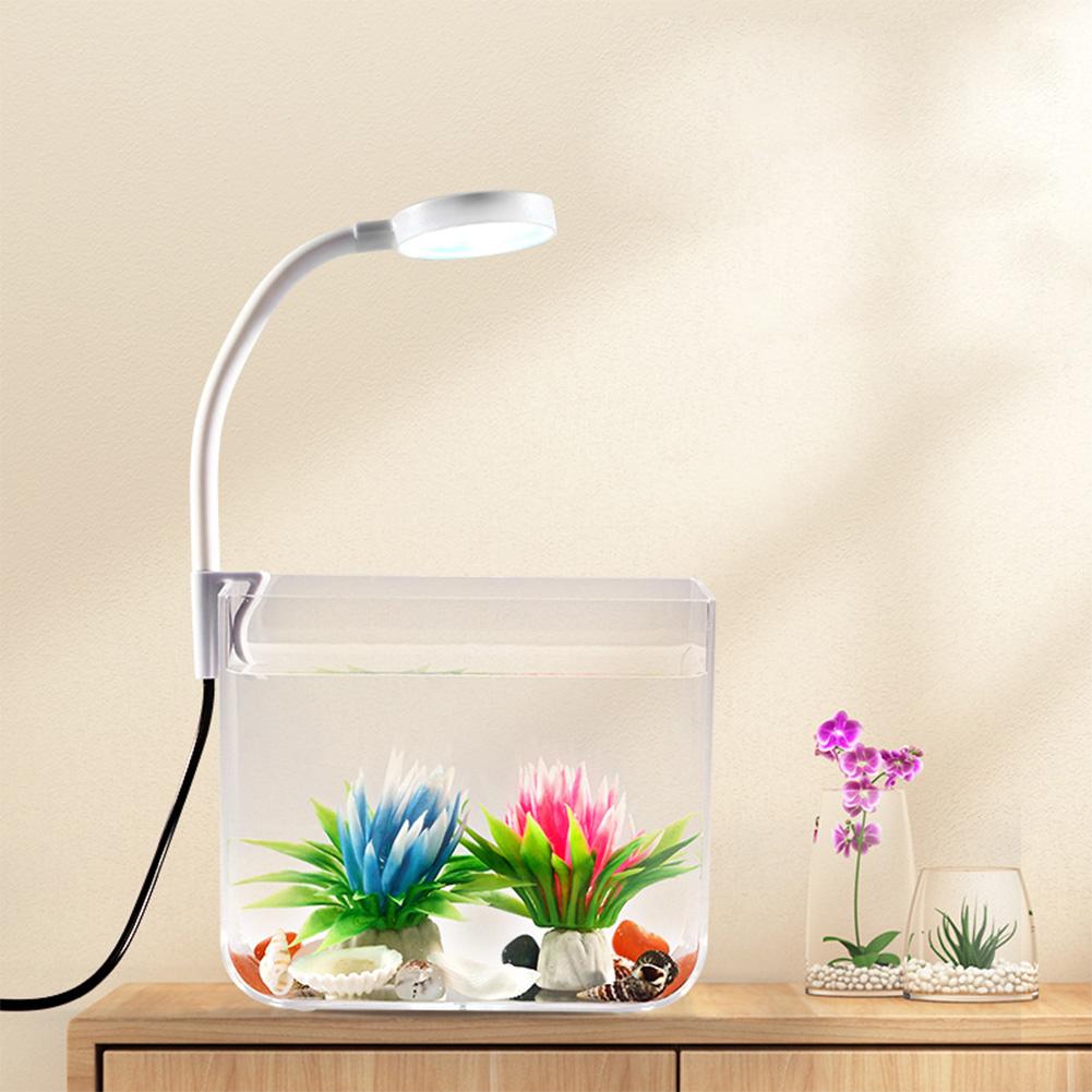 Small Fish Tank with Wall Mounted Filter LED Clamp Light High Lightweight Fish Aquatic Pet Supplies Aquariums for Home Decor