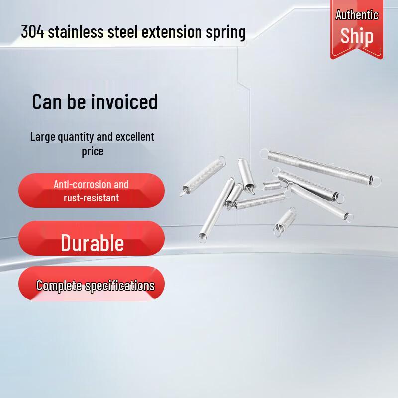 304 Stainless Steel Tension Spring with Hooks 2 Pieces