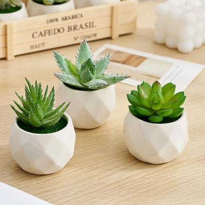 Moderne Sukkulente Topfpflanze Künstliche Pflanzen Home Indoor Balkon Kunststoff Topfpflanze Niedliche Bonsai Home Decor Geschenke