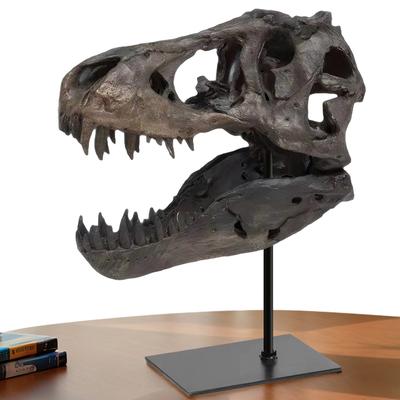 Tyrannosaurus Rex Fossil Figurine with Bracket Skull Statue Replica Head Sculptures Gift for Kids and Adults