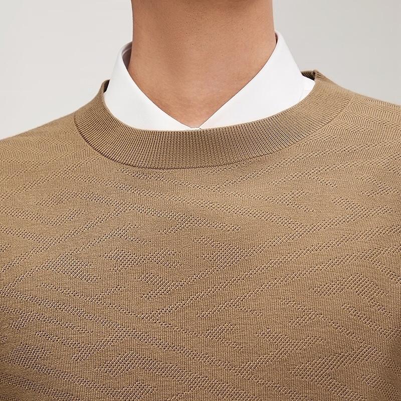 Qipai Men's Jacquard Round Neck Wool Blend Pullover Sweater