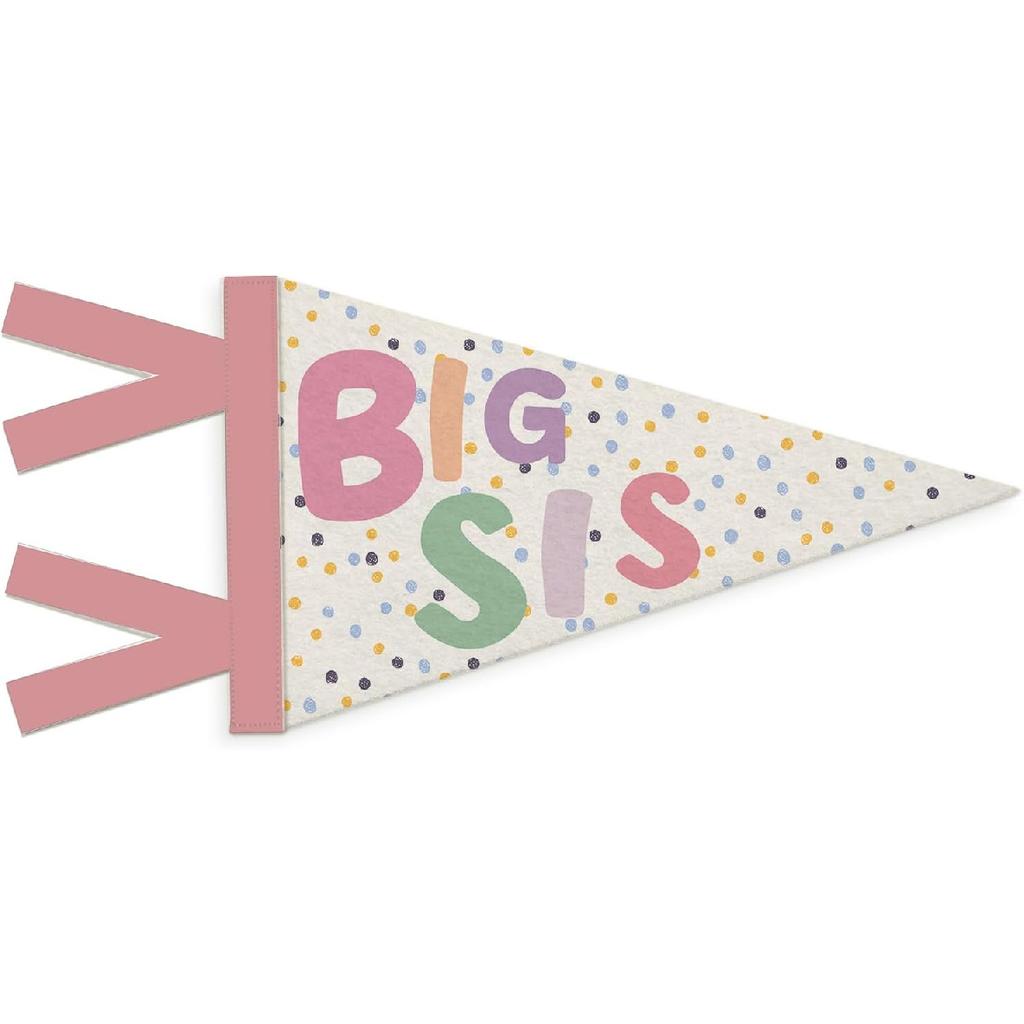 Boys Room Decor, Long Live Boyhood Wall Hanging Pennant Flag Banner, Preppy Neutral Checkerboard Wall Decorations for Nursery Toddler Boys Bedroom