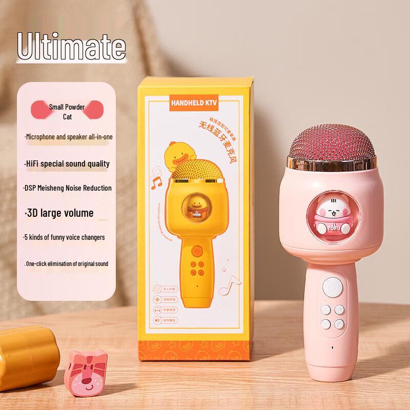 Kabelloses KTV-Mikrofon und Lautsprecher für Kinder - Singspielzeug für Familienspaß