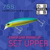 Daiwa Seabass Lure Set Upper 75S Matte Chart