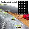 Breathable Perforated Plastic Mulch Film Pre-Punched Holes Black Weed Barrier  Disease Reduction